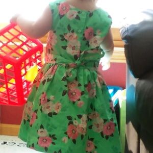 Meet your Posher, Holly